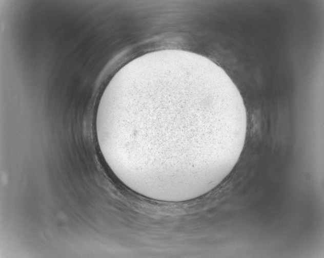 X0000052950004200508050934