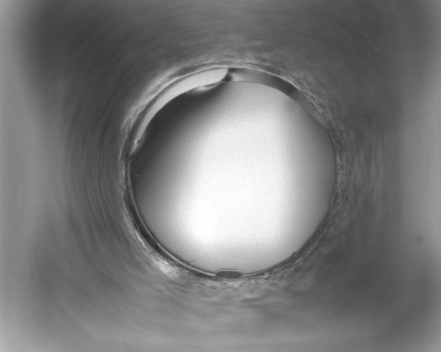 X0000052950005200508050934