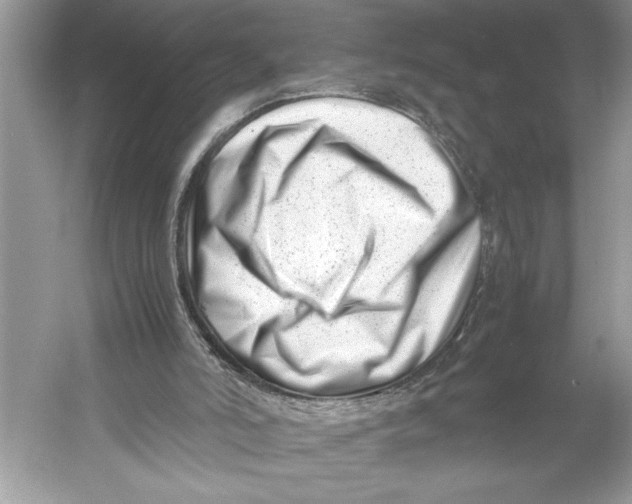 X0000052950006200508050934