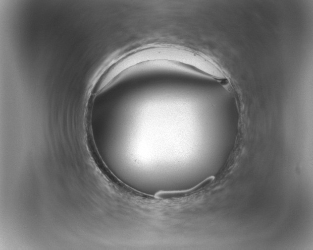 X0000052950007200508050934