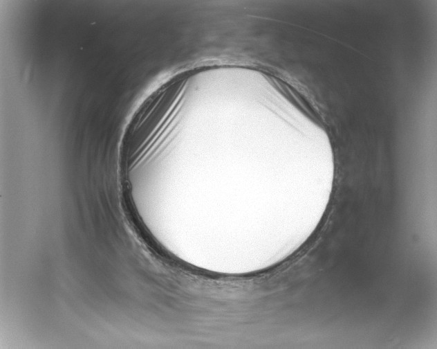 X0000052950008200508050934