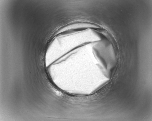 X0000052950009200508050934