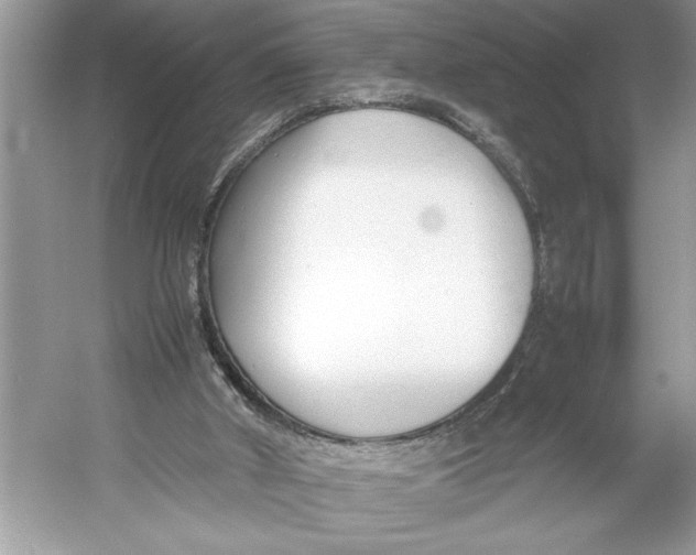 X0000052950010200508050934