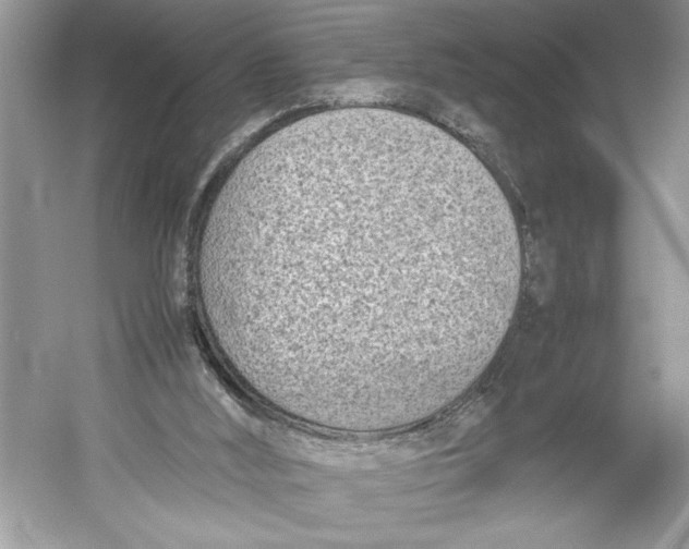 X0000052950012200508050934