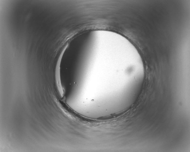 X0000052950013200508050934