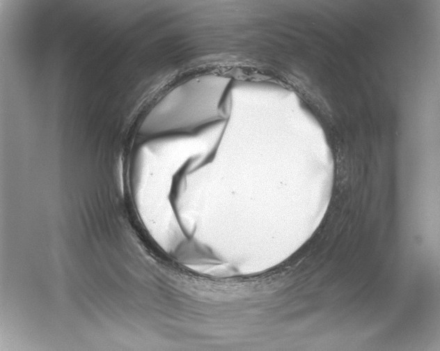 X0000052950014200508050934