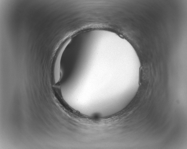 X0000052950015200508050934