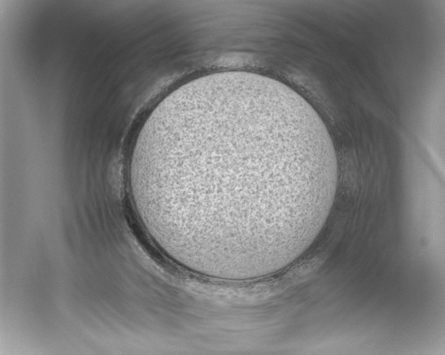 X0000052950016200508050934