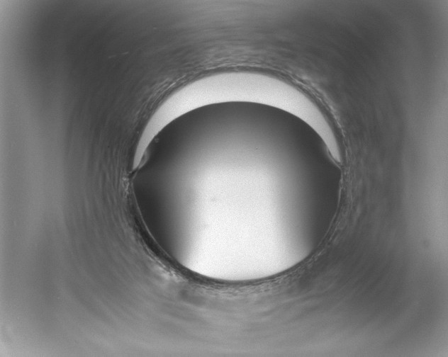 X0000052950017200508050934