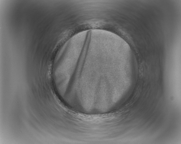 X0000052950018200508050934