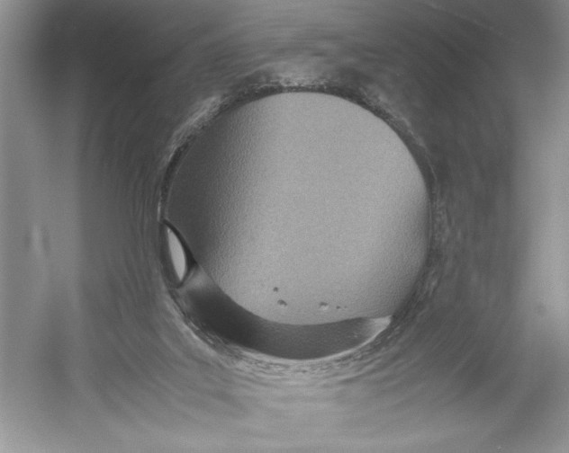 X0000052950019200508050934