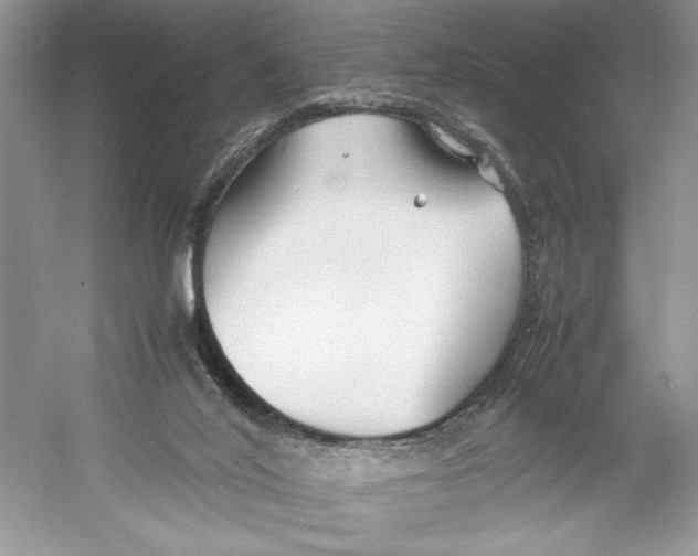 X0000052950020200508050934