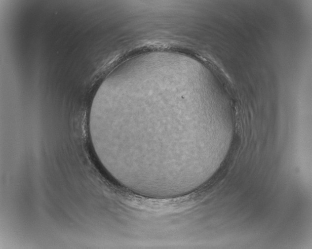 X0000052950023200508050934