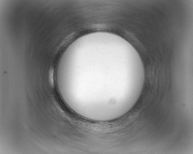 X0000052950024200508050934