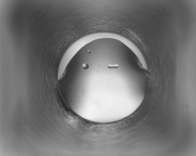 X0000052950025200508050934