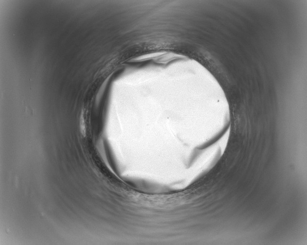 X0000052950026200508050934