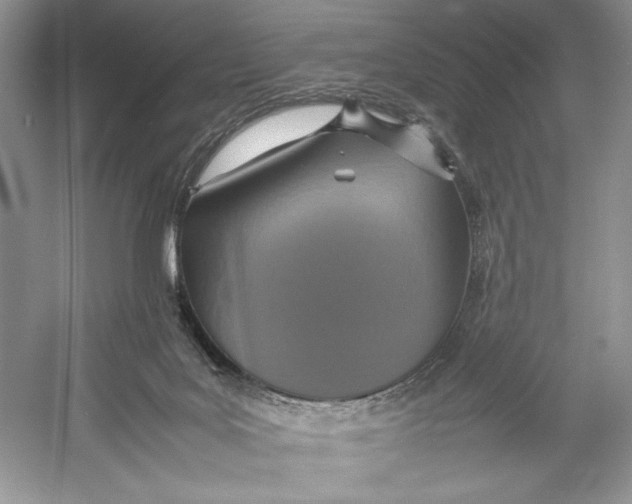 X0000052950027200508050934