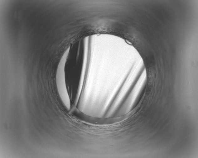 X0000052950029200508050934