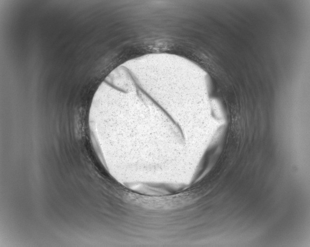 X0000052950030200508050934