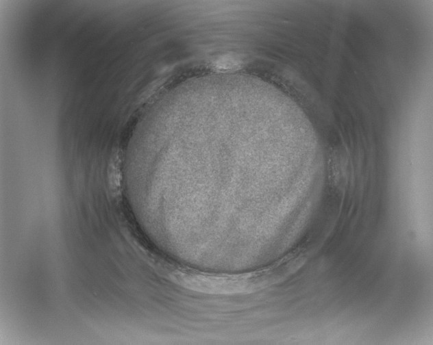 X0000052950032200508050934