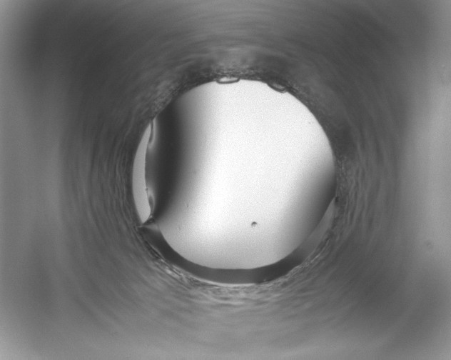 X0000052950033200508050934