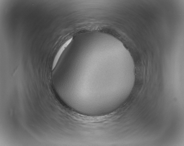 X0000052950035200508050934