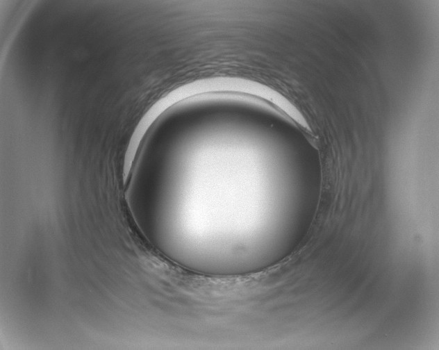 X0000052950037200508050934