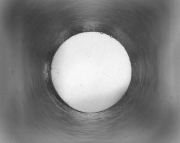 X0000052950038200508050934