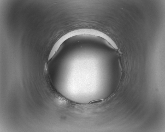 X0000052950041200508050933