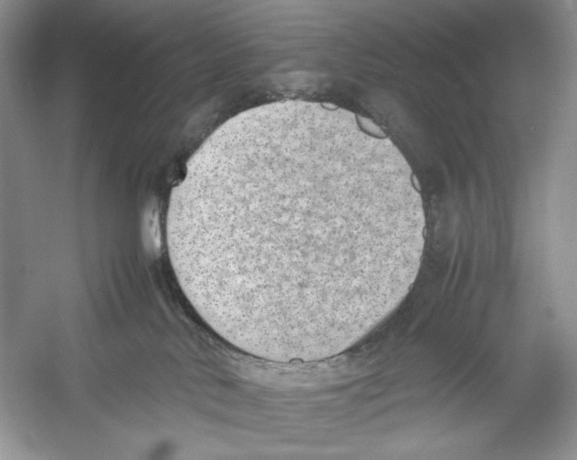 X0000052950042200508050933