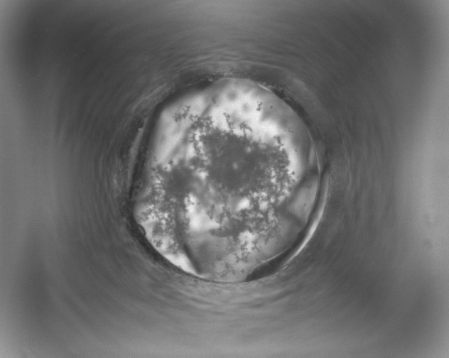 X0000052950043200508050933