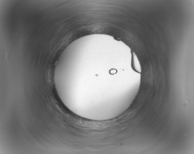 X0000052950044200508050933