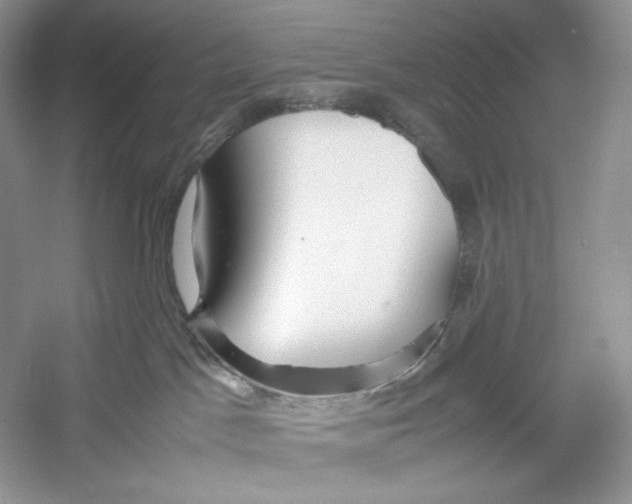 X0000052950045200508050933