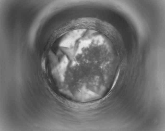 X0000052950047200508050933