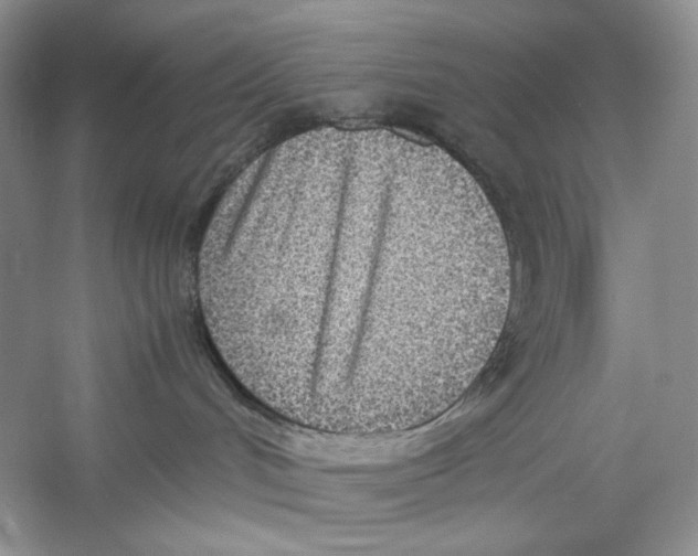 X0000052950048200508050933