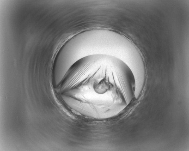 X0000052950049200508050933