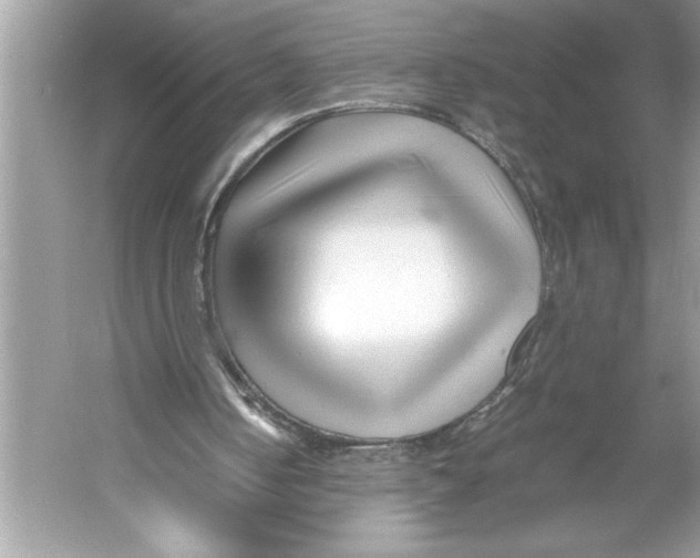 X0000052950050200508050933