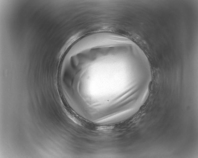 X0000052950051200508050933