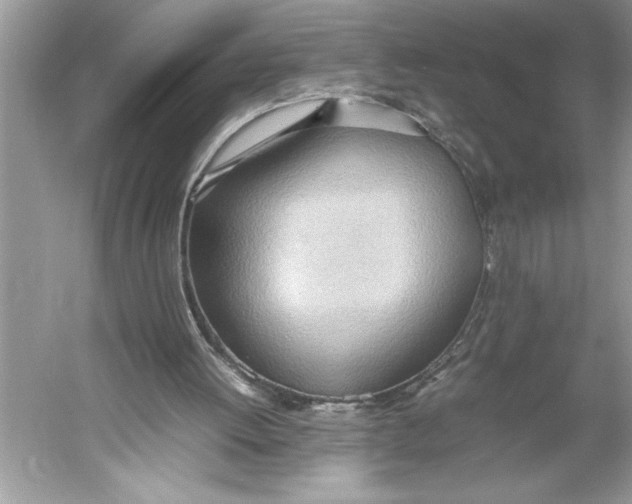 X0000052950052200508050933