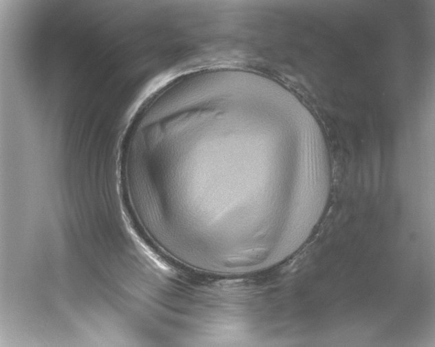 X0000052950054200508050933