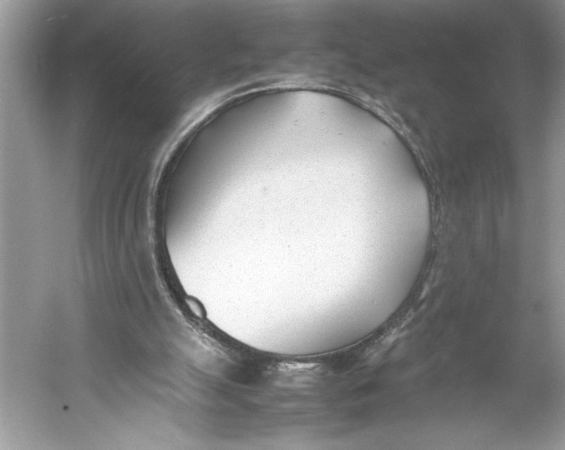 X0000052950055200508050933