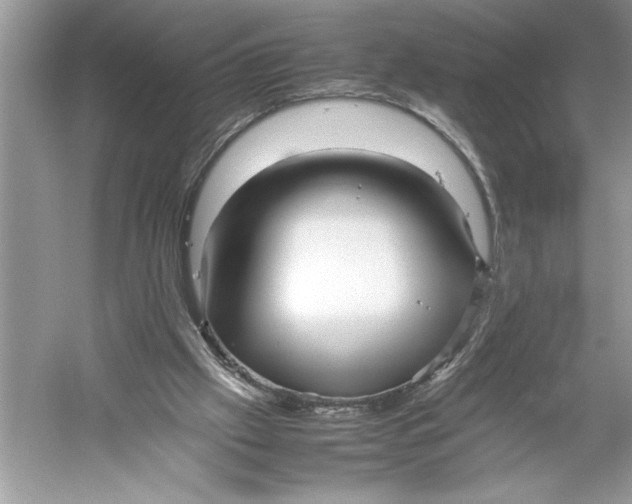 X0000052950057200508050933