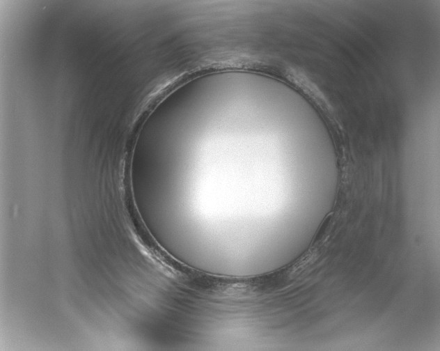 X0000052950058200508050933