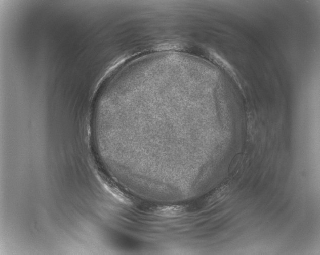 X0000052950059200508050933