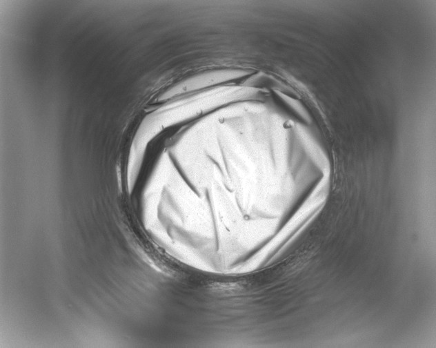 X0000052950061200508050933