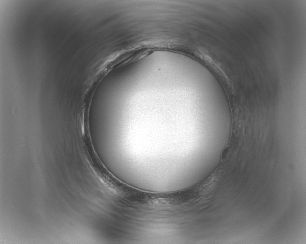 X0000052950062200508050933