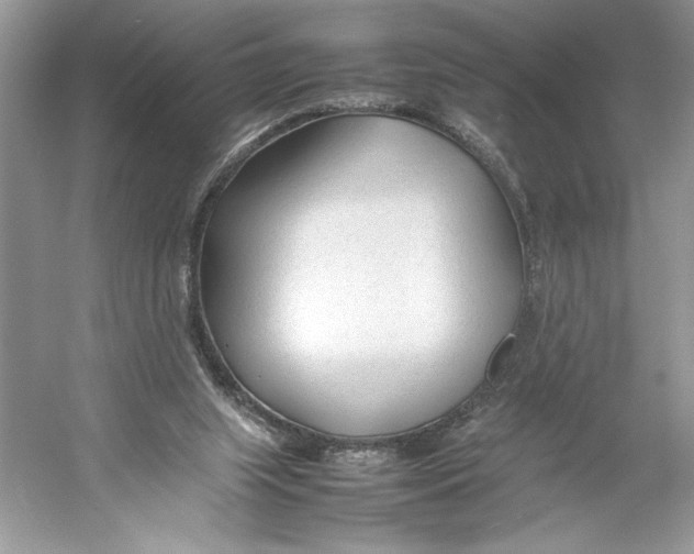 X0000052950063200508050933