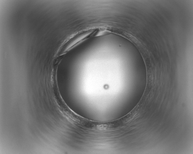 X0000052950064200508050933