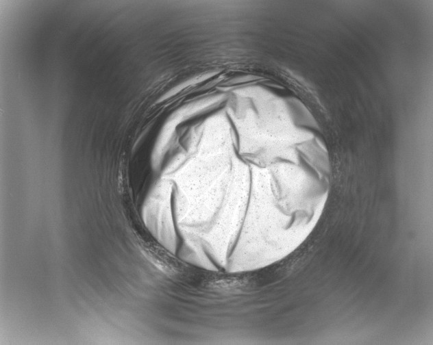 X0000052950065200508050933