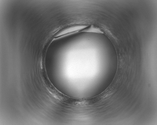 X0000052950068200508050933